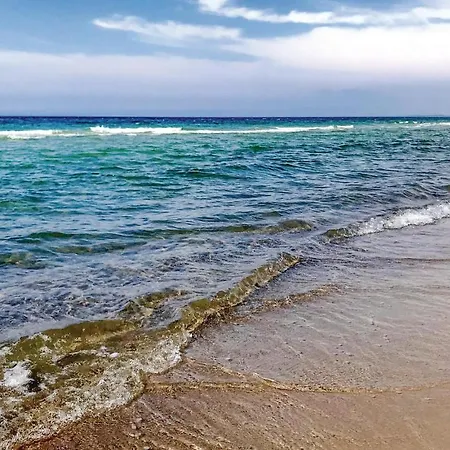 Apartment Pet Friendly Muritz