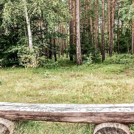 Pet Friendly Apartment Muritz