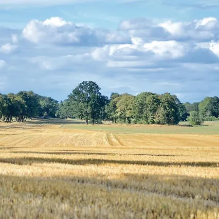 Apartment Pet Friendly